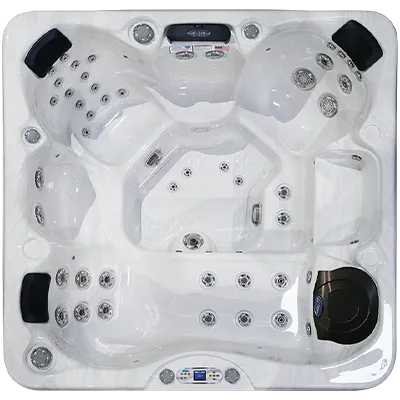 Avalon EC-849L hot tubs for sale in Montclair