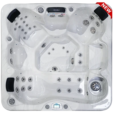 Avalon-X EC-849LX hot tubs for sale in Montclair