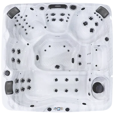 Avalon EC-867L hot tubs for sale in Montclair